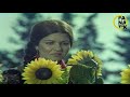 Dilek Taşı - Kır Çiçekleri - Gülden Karaböcek