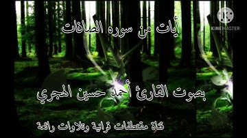 أيات من سوره الصافات  بصوت القارئ أحمد حسين الهجري