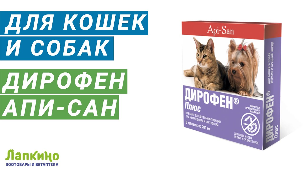 ДИРОФЕН ПЛЮС от АПИ-САН // Ветаптека и зоотовары Лапкино ( Петшоп 78 )