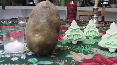 Roy The Christmas Potato - Parry Gripp