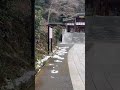【今日の高麗神社シリーズ】2026年2月11日(水) 大安。皆様にさらなる御利益がありますように。