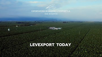 LEVEXPORT  TODAY #distributor #Ecuador #bananas  #bananas