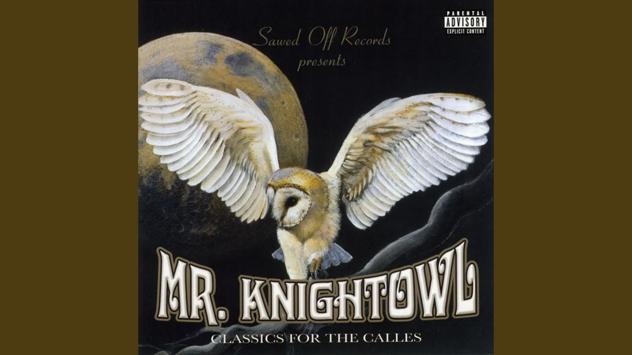 Here Comes the Knight Owl - YouTube