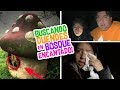 DUENDES REALES a MEDIA NOCHE en BOSQUE ENCANTADO 🌲Terror Fantástico - Vloggeras Fantásticas