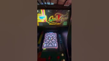 Class of 1981 - Ms. Pac-man  - Golden Age of Arcades - Papa Brad’s Gaming
