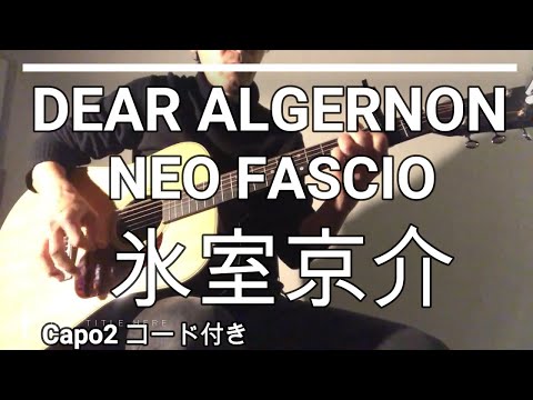 DEAR ALGERNON(NEO FASCIOライブバージョン）カバー