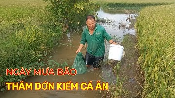 Visvallen bezoeken op een stormachtige dag