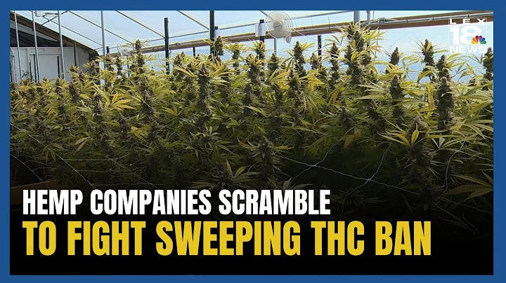 Hemp Companies Scramble to Fight Sweeping THC Ban in Federal Funding Bill