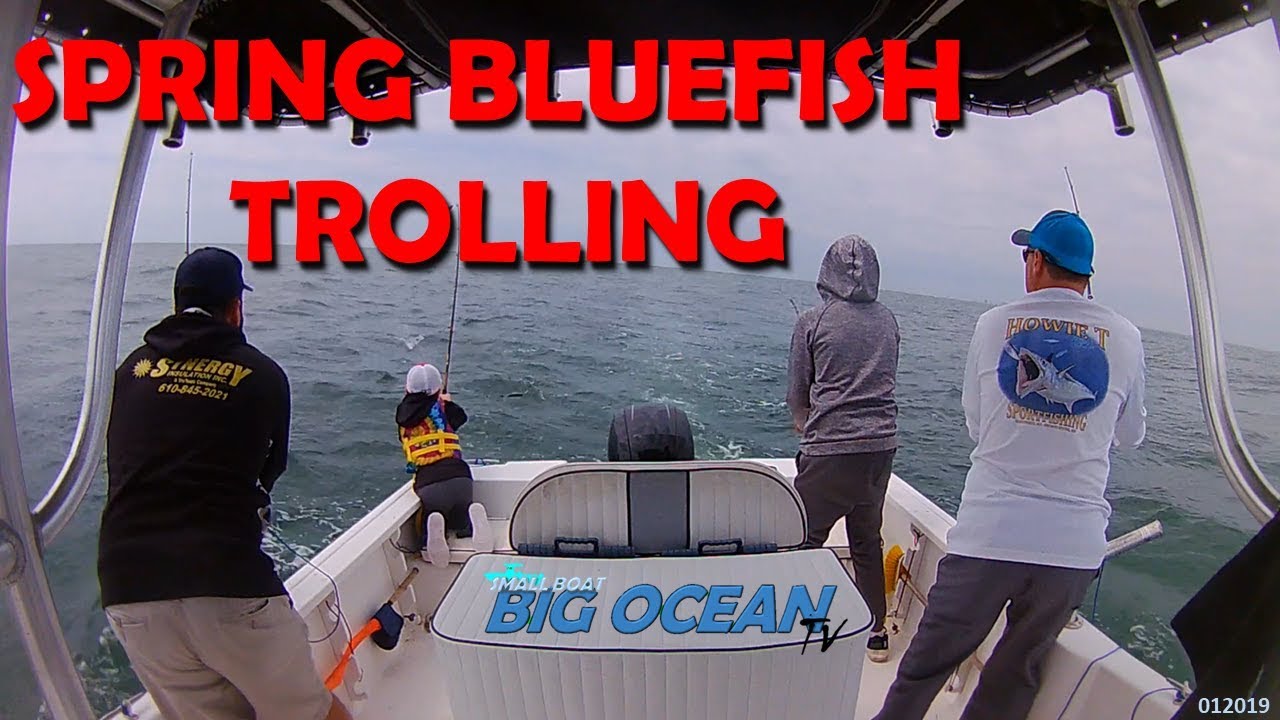 Episode 1 - Inshore Bluefish
