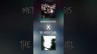 METAMORPHOSIS x THE PERFECT GIRL || [P4nMusic PHONK MASHUP]