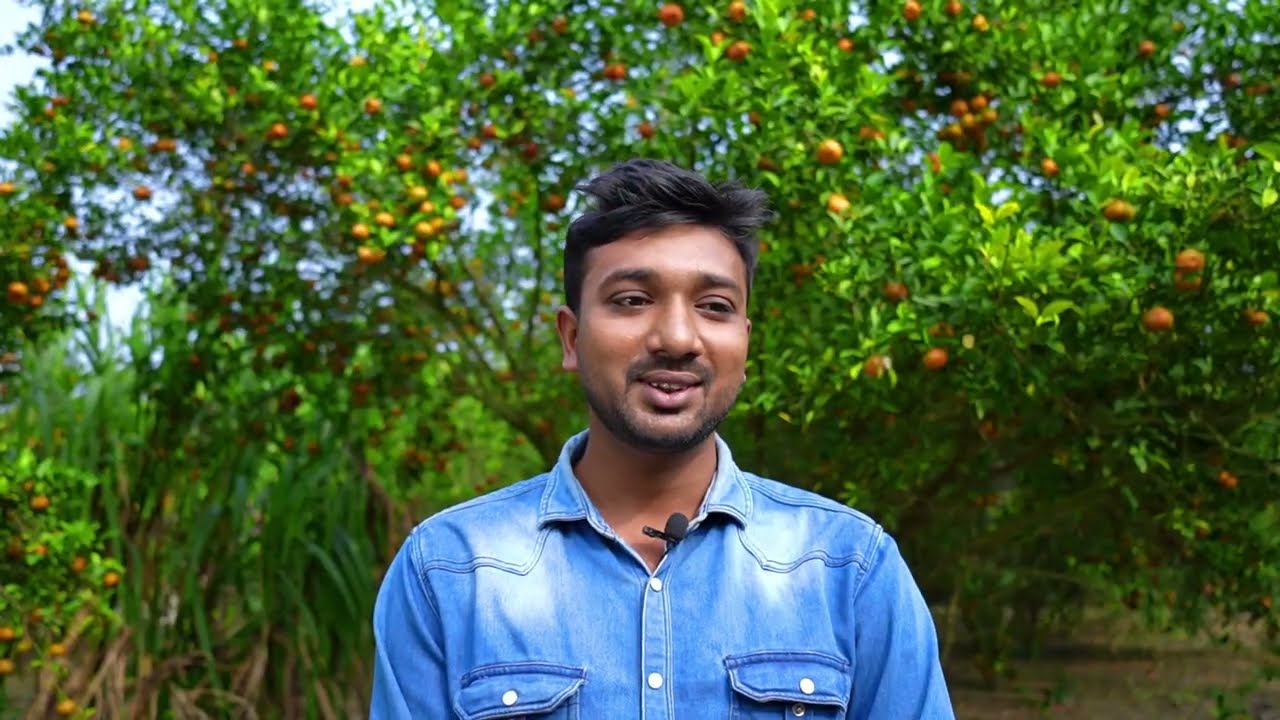তরুণ কৃষি উদ্দোক্তা মোঃ রিফাত হোসেন এর মিষ্টি কমলা ও মালটা চাষে সফলতা