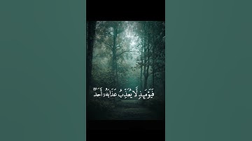 اكتب استغفر الله في تعليقات #قران_كريم #تلاوة_هادئة #المصحف #الرحمن