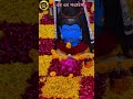 ‼️હર હર મહાદેવ❗️