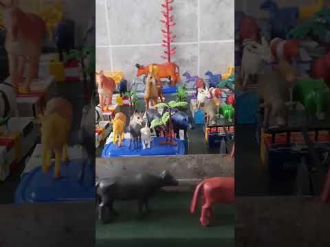 Vídeo: Hobby Farm Gado – Animais para ter em uma fazenda de hobby