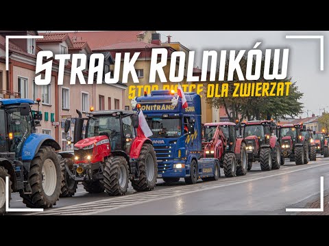 🇵🇱 STRAJK ROLNIKÓW 2020 ✔ Agro UNIA ☆ Blokujemy Grajewo ☆ 21.10.2020 ☆ STOP 5 KACZYŃSKIEGO ⛔️