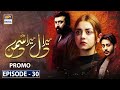 Watch Mera Dil Mera Dushman Episode 30 | Promo | ARY Digital Drama Online In Hd