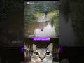#jumpstyle #memes #cat #shorts
