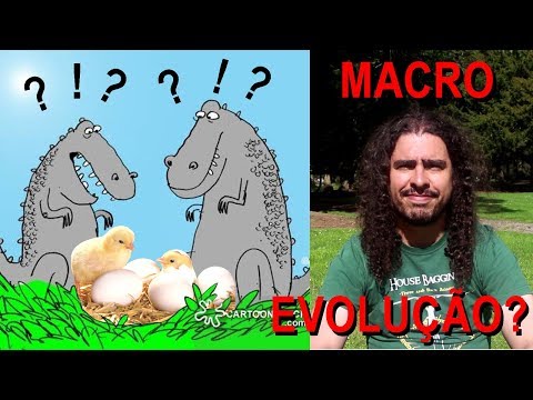 Vídeo: Diferença Entre Microevolução E Macroevolução