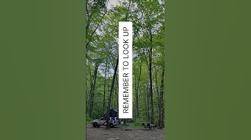 Remember to look up #camping #adventure #overlanding #fyp #camp #safety #automobile #look #forest