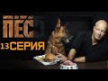"Пес-5". 13 серия (НТВ) - АНОНС