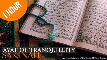 Ayat of Tranquility (Sakinah) | One Hour | English Translations | آيات السكينة لدفع القلق والهموم