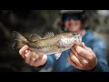 Ocklawaha  fly fishing one of floridas forgotten rivers