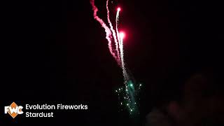 Stardust from Evolution Fireworks