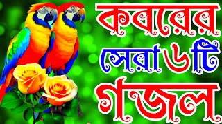 খুবই দুঃখের কবরের  কষ্টের ৬টি  গজল || Happy New year 2024 best gojol