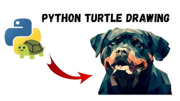 Amazing Python Turtle Dog Drawing