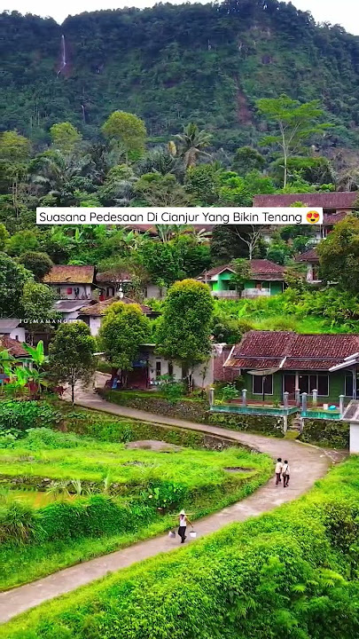 SUASANA PEDESAAN YANG TENANG DAN DAMAI DI CIANJUR 😍 #shorts