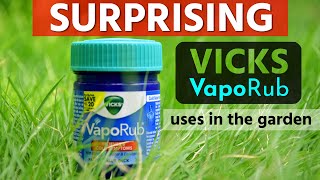 Surprising Vicks VapoRub Uses in the Garden