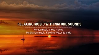 RELAXING MUSIC WITH NATURE SOUNDS, Forest music, Sleep music, Meditation music, Flowing Water Sounds