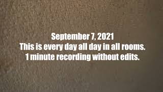 316  Sept 2021