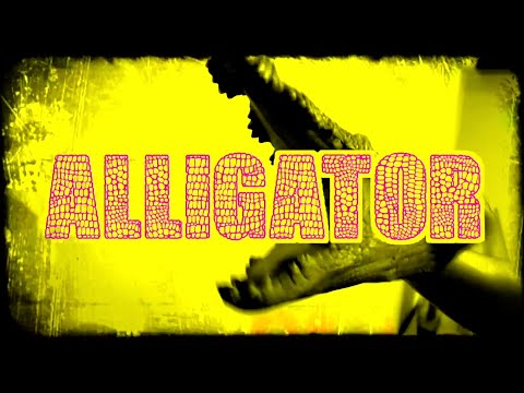 The Dollyrots - Alligator (Official Lyric Video)