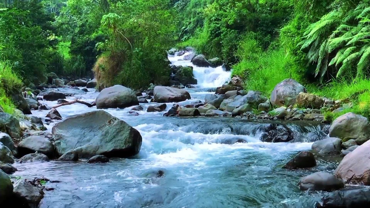 Peaceful Stream Sounds Pure Running Water For Focus and Sleep
