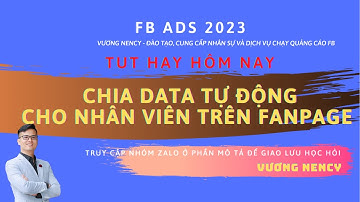 PHÂN CHIA MES CHO NHÂN VIÊN TRỰC PAGE  TỰ ĐỘNG - RẤT DỄ LÀM