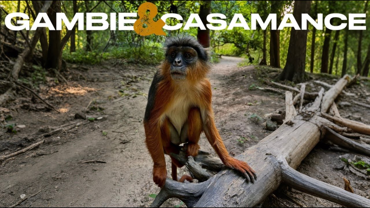 GAMBIE&CASAMANCE