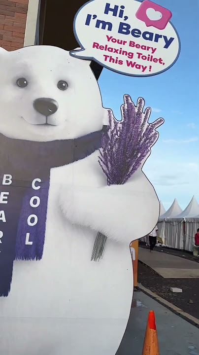 This is Softex Beary Cool at Yo Run 2025!✨