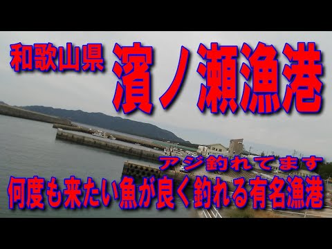 #171和歌山県濱ノ瀬漁港投げサビキ釣り海がきれいな漁港関西電力御坊発電所日高川河口紀伊日ノ御煙樹ヶ浜広川IC川辺IC湯浅御坊道路吉備湯浅PA阪和自動車道ファミリーマート日高萩原店国道42号オークワ