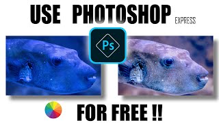 DOWNLOAD PHOTOSHOP EXPRESS FOR FREE - THE BEST FREE PHOTO EDITING SOFTWARE IN 2021 screenshot 2