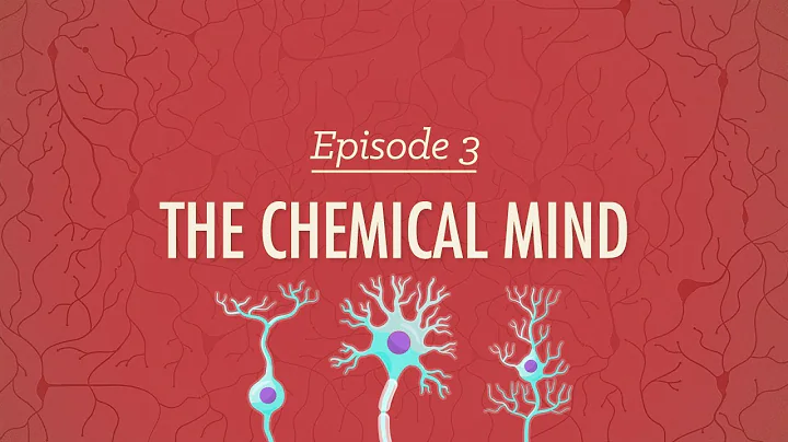 The Chemical Mind: Crash Course Psychology #3 - DayDayNews