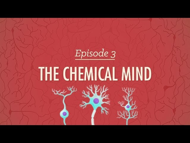The Chemical Mind: Crash Course Psychology #3 - YouTube the-chemical-mind-crash-course-psychology-3-youtube