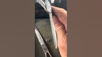 For your protection, make your sharpeners photograph your shears before and after being serviced