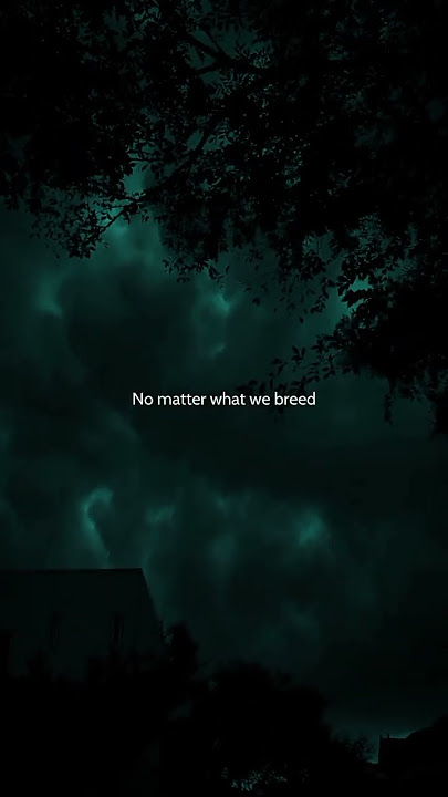 Demons - Imagine Dragons (Lyrics) | 'When you feel my heat, look into my eyes' | Aesthetic #shorts