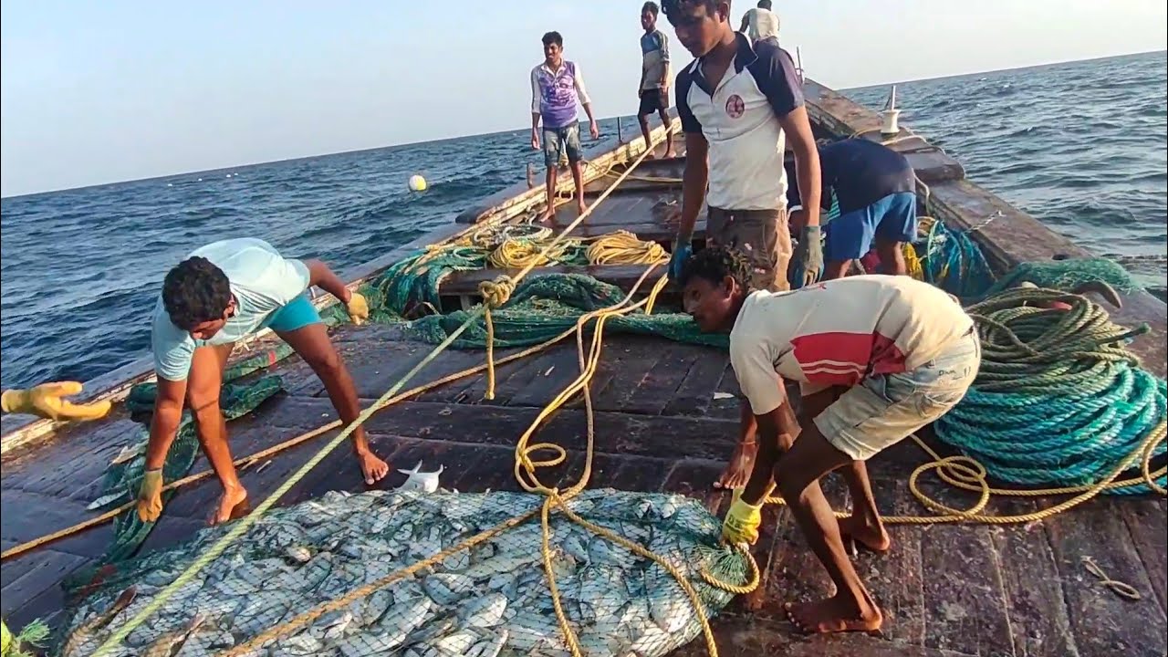 Promfret Fishing in Deep Sea  Pavitra Mariya Boat       