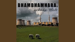 Ich hör die Single nicht