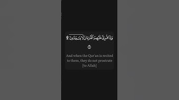 #القرآن_الكريم #quran سورة الانشقاق | الجزء الثالث من المقطع و الأخير