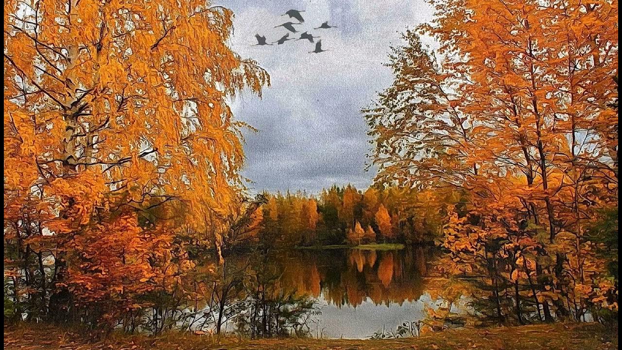 Роща золотая и журавли. Осенью налетает. Конец осени. Осенний листопад. Поздняя осень дождь.
