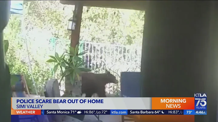 Police scare black bear out of Simi Valley home