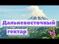 Как это сделано | Дальневосточный гектар